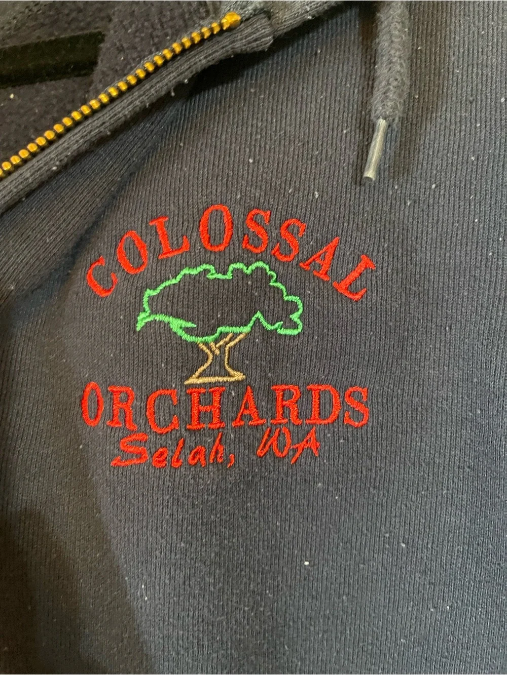 Carhartt Men’s Navy Vintage Zip-Up Hooded Sweatshirt - Colossal Orchards logo S